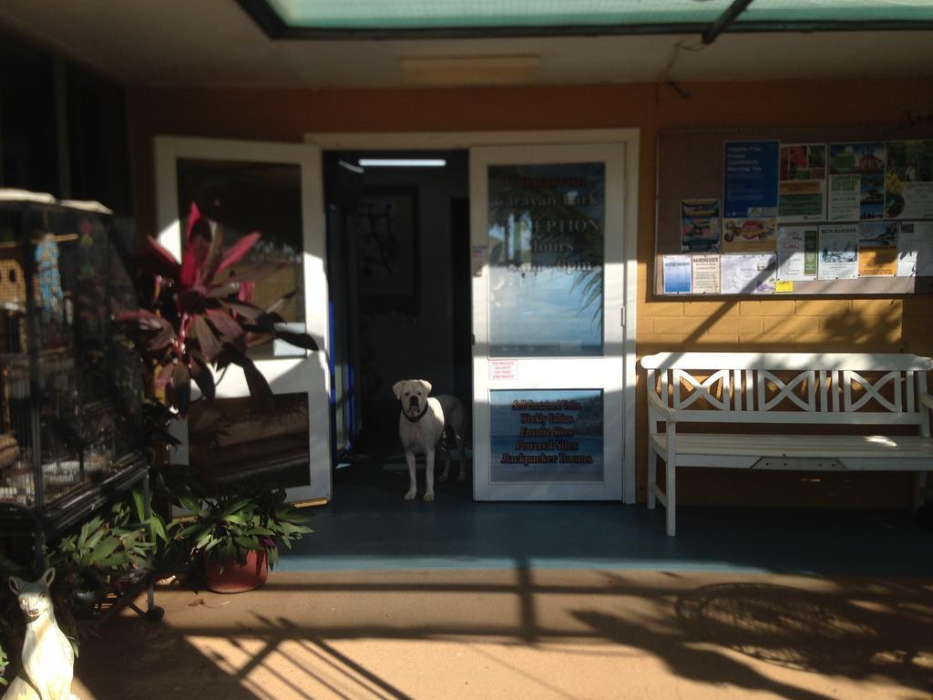 Carnarvon Caravan Park Zewnętrze zdjęcie